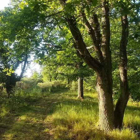 Nyaraló Old School Kail