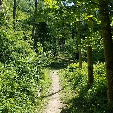 Old School Nyaraló *