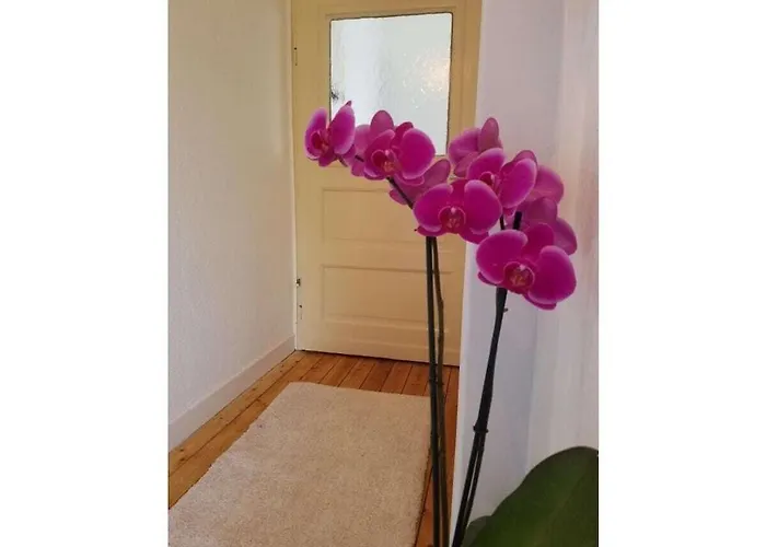 Old School Casa de Férias *