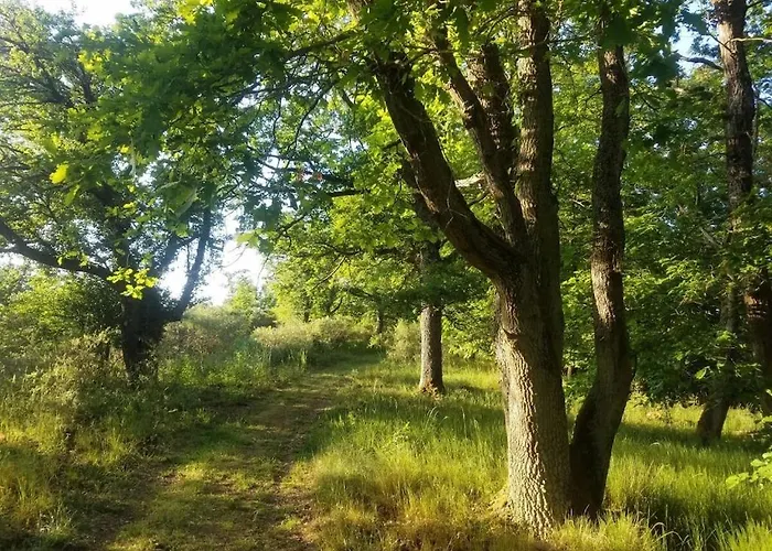 Casa de Férias Old School Kail