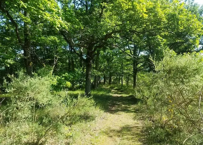 Casa de Férias Old School