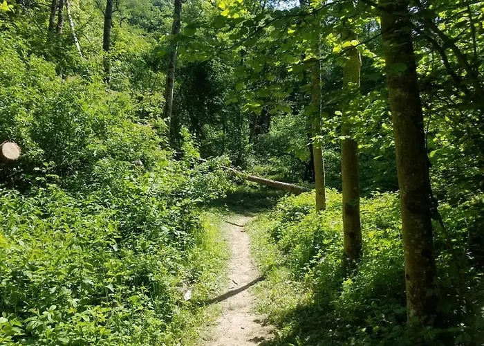 Old School Casa de Férias *